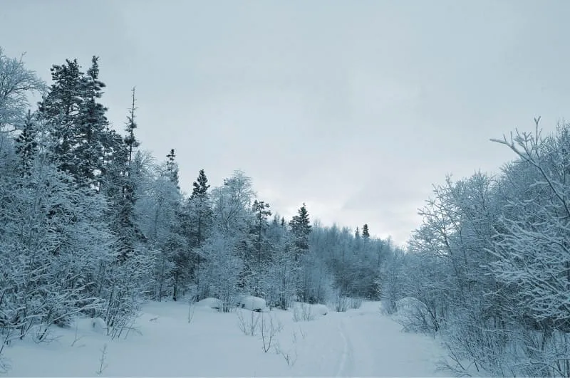 iStock-000002787906Large